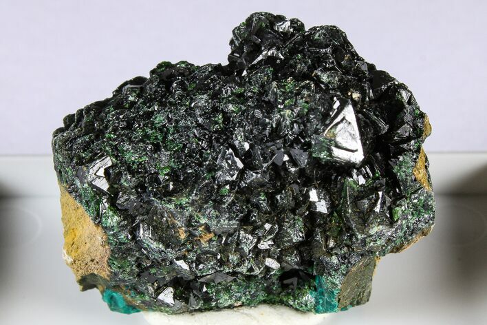 Forest-Green Libethenite Crystal Cluster - DR Congo #380367
